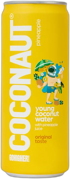 Coconut Water mit Ananassaft 320 ml